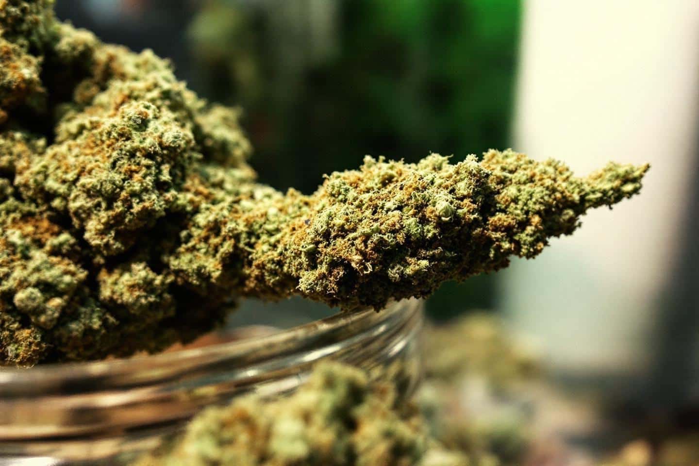 Combien de gramme de cbd pour un joint : dosage idéal et conseils