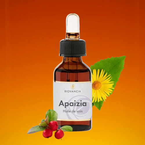 Apaizia avis