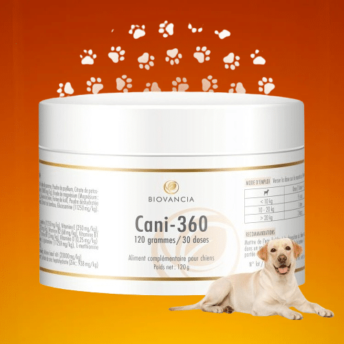 Cani 360 avis : mon retour après 21 jours de test sans filtre