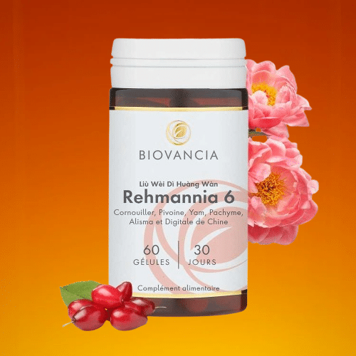 Rehmannia 6 avis : mon retour après 3 semaines de test sans filtre