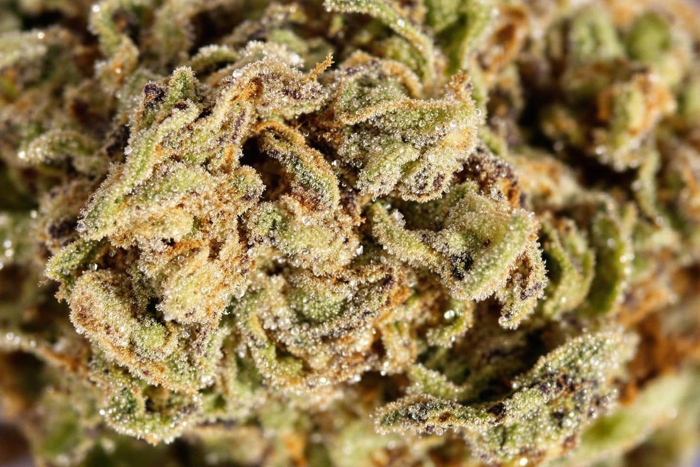 Moonrock : définition, effets et tout savoir sur ce cannabis